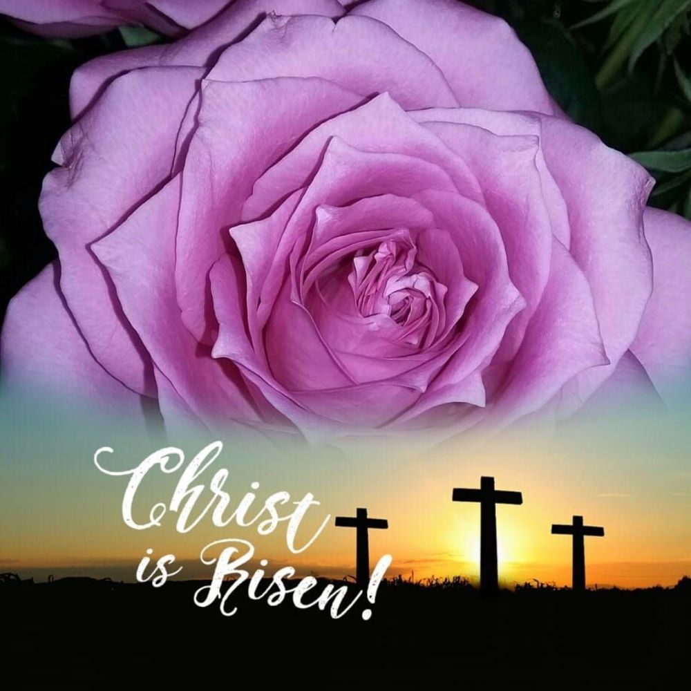 Meet your Posher, Betty